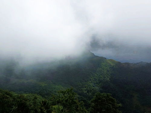岑溪風物 今身幸誤臨仙界,暗坐云端樂此行